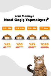 LaVital Yavru Kuru Kedi Maması (Kitten) Somonlu 100GR - Thumbnail