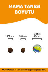 LaVital Yavru Kuru Kedi Maması (Kitten) Somonlu 12 KG + KÜÇÜK PAKET 1,5 KG - Thumbnail