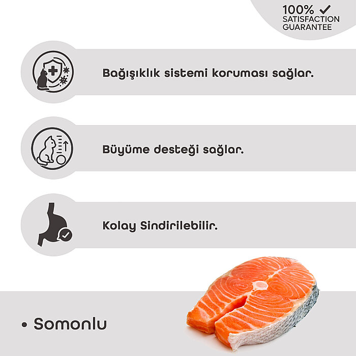 LaVital Yavru Kuru Kedi Maması (Kitten) Somonlu 12KG - 3