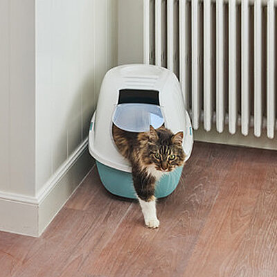 Moderna Smart Kapalı Kedi Tuvaleti - Gri 53 CM - 3