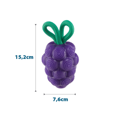 Nina Ottosson Dental Grapes Köpek Çiğneme Oyuncağı - Üzüm (1)