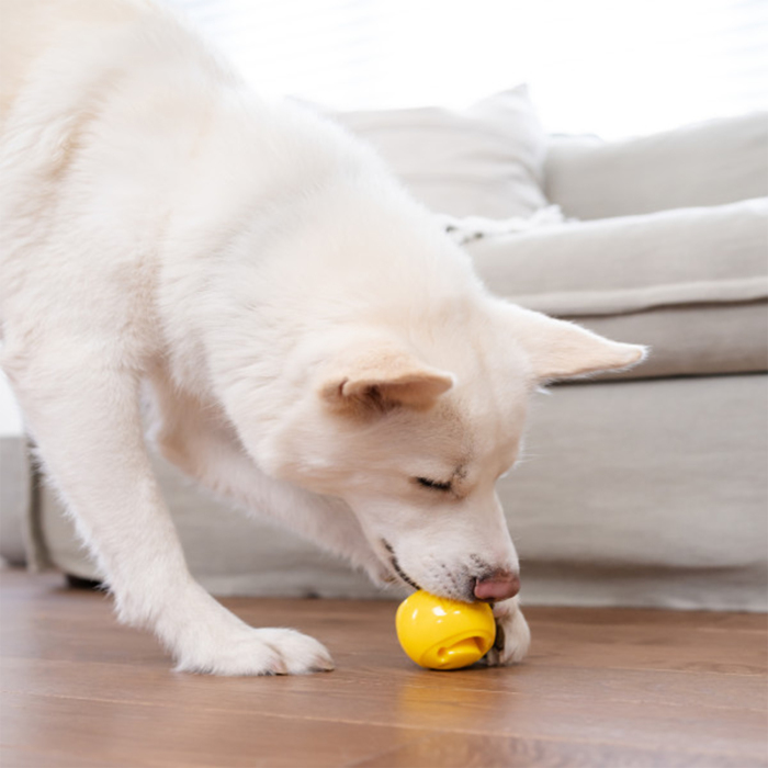 Nina Ottosson Nooks Happiness Köpek Ödül Küpü - 4