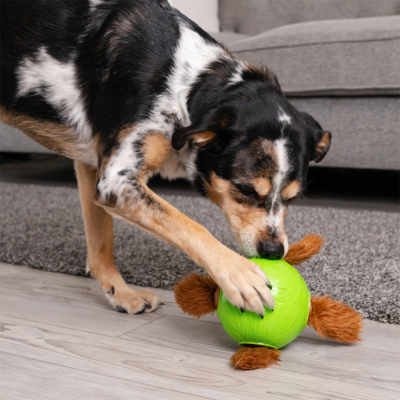Nina Ottosson Snuffle N'Trt Ball Eğitici Köpek Ödül Topu - 3