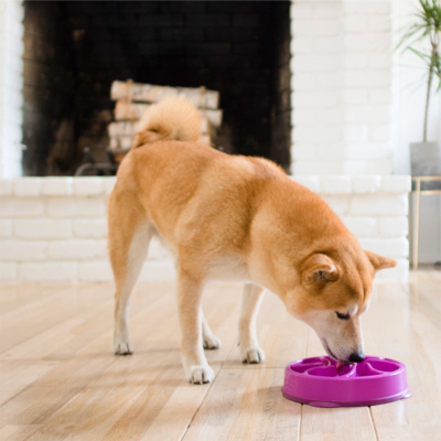 Outward Hound Fun Feeder Flower Yavaş Yeme Mama Kabı Medium - Mor - 4