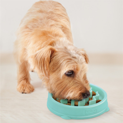 Outward Hound Fun Feeder Wave Yavaş Yeme Mama Kabı Small - Yeşil - 5