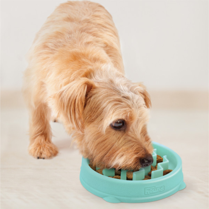 Outward Hound Fun Feeder Wave Yavaş Yeme Mama Kabı Small - Yeşil - 5