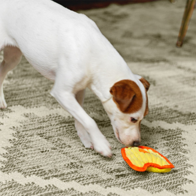 Outward Hound Invincibles Durablez Chicky Köpek Oyuncağı Xsmall - 3
