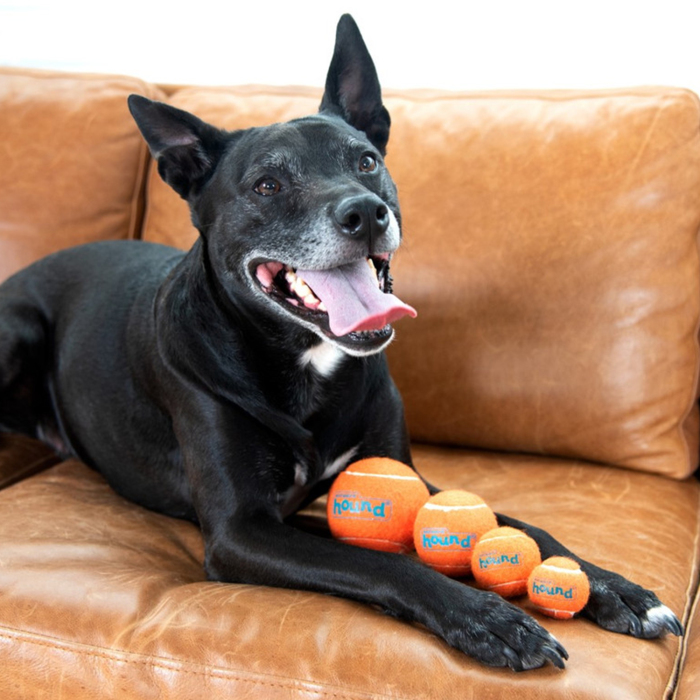 Outward Hound Squeaker Ballz Sesli Köpek Tenis Topu 4'lü - 5