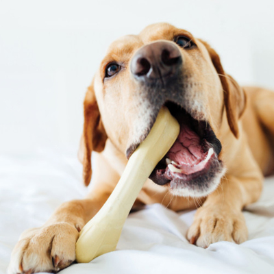 Petstages Chick A Bone Tavuk Aromalı Köpek Çiğneme Kemiği Xsmall - 4