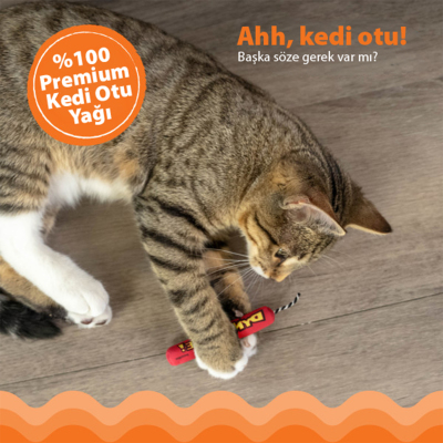 Petstages Green Magic Catnipli Dinamit Kedi Oyuncağı - 3