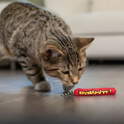 Petstages Green Magic Catnipli Dinamit Kedi Oyuncağı - 4