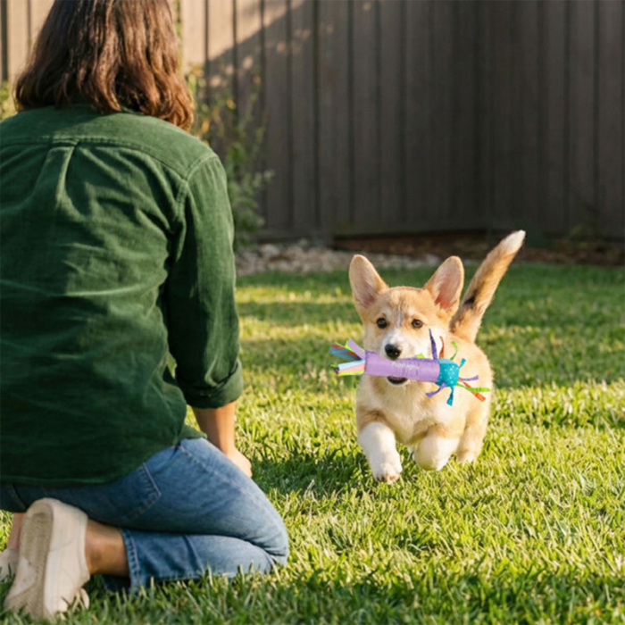 Petstages Köpek Soğutuculu Diş Kaşıma Çubuğu - 4
