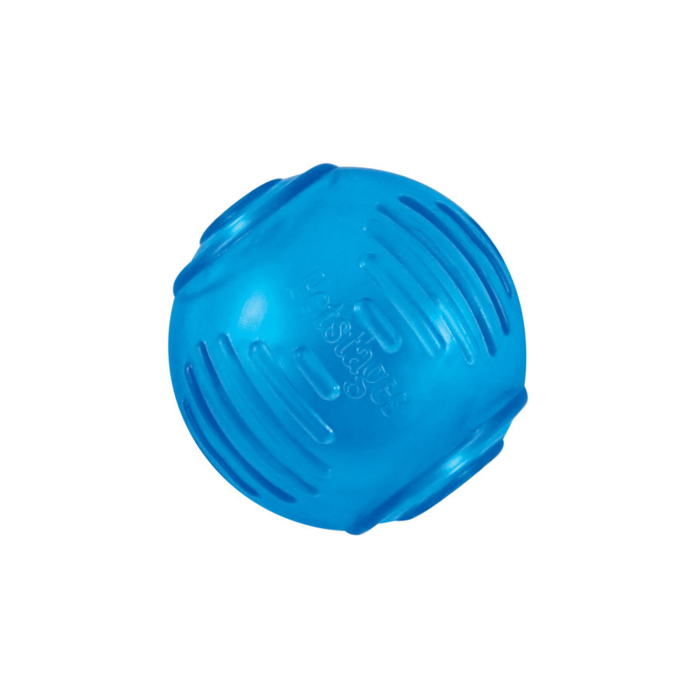 Petstages Orka Ball Köpek Çiğneme Topu - 2