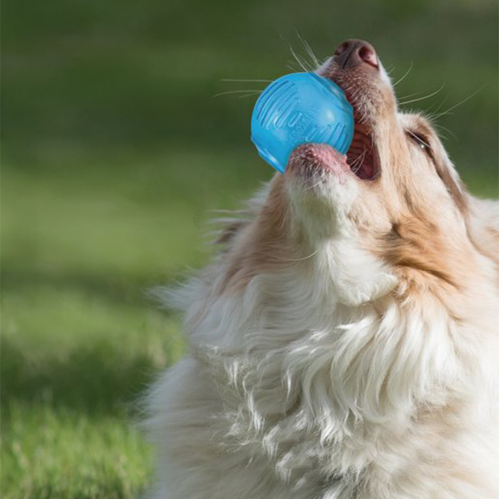 Petstages Orka Ball Köpek Çiğneme Topu - 4