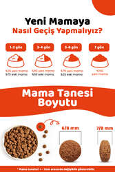 Pronature Küçük Irk Yetişkin Kuru Köpek Maması (Daily Protect) - Kuzu Etli ve Pirinçli - 3KG - Thumbnail