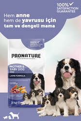 Pronature Mother & Baby Kuru Köpek Maması (Mini) Kuzu Etli 3KG - Thumbnail