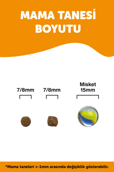 Pronature Orta ve Büyük Irk Yavru Kuru Köpek Maması (Daily Growth) - Kuzu Etli ve Pirinçli - 10+2 KG Hediye