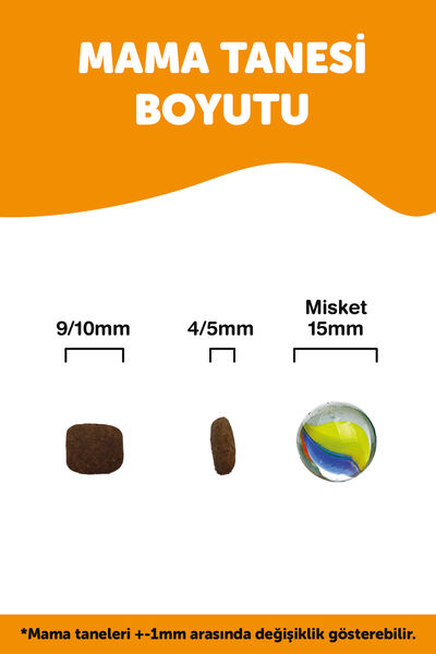 Pronature Tahılsız Yetişkin Kuru Kedi Maması (Perfect Maintenance) - Somonlu ve Enginarlı – 10 KG + KÜÇÜK PAKET 1,5 KG