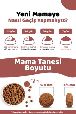 Pronature Tahılsız Yetişkin Kuru Köpek Maması (Perfect Maintenance) - Kuzu Etli Patatesli ve Enginarlı - 12KG - Thumbnail