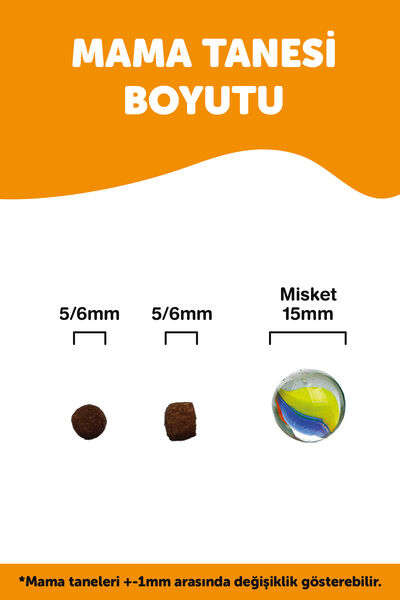 Pronature Yavru Kuru Kedi Maması - Tavuk Etli ve Pirinçli - 10 KG + KÜÇÜK PAKET 1,5 KG