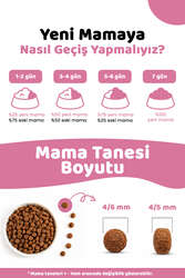 Pronature Yavru Kuru Kedi Maması (Daily Growth) - Tavuk Etli ve Pirinçli - 1,5KG - Thumbnail