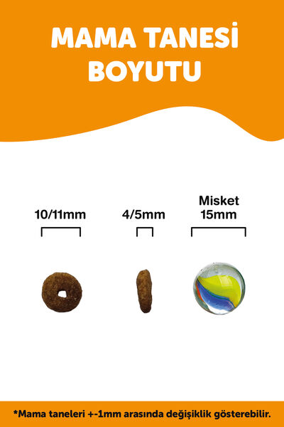 Pronature Yetişkin Kuru Kedi Maması - Hamsili ve Pirinçli - 10KG + KÜÇÜK PAKET 1,5 KG