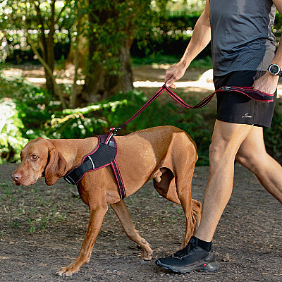 Rogz Air Tech Line Köpek Gezdirme Kayışı Medium - Kırmızı - 2