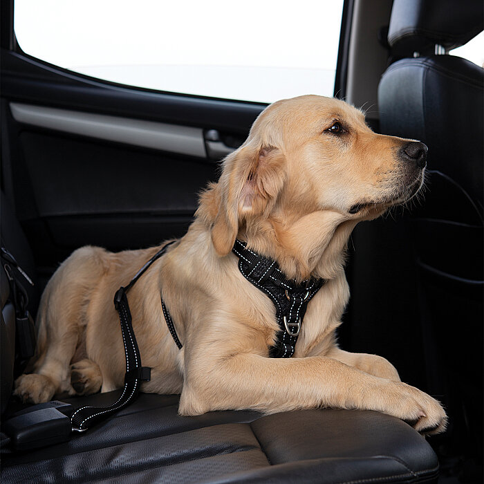 Rogz Beltz Safe Seat Belt Araç Emniyet Kemeri - 4