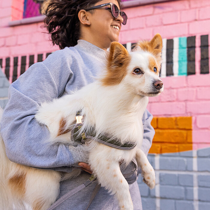 Rogz Urban Fast Fit Tuig Köpek Göğüs Tasması Medium - Gri - 3