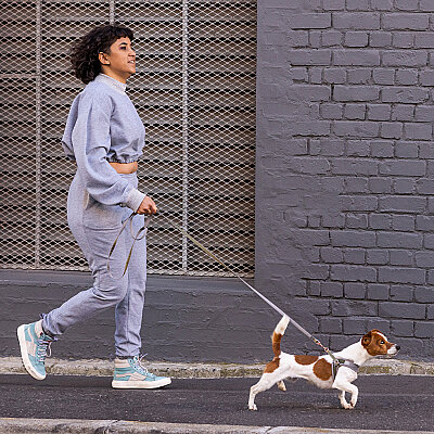 Rogz Urban Line Köpek Gezdirme Kayışı Medium - Yeşil - 3