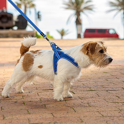 Rogz Utility Fast Fit Harness Köpek Göğüs Tasması Small - Mavi - 3