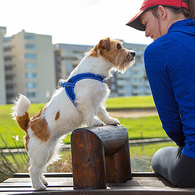 Rogz Utility Fast Fit Harness Köpek Göğüs Tasması Small - Mavi - 4